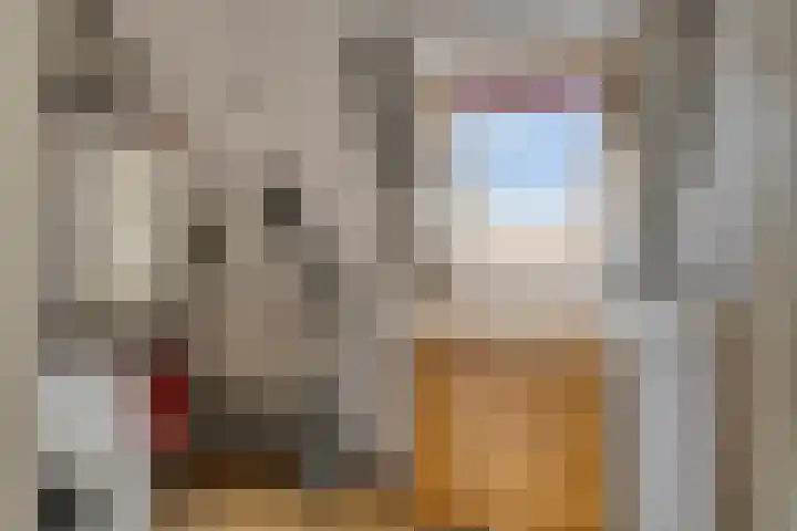 Kopermolenring 25 Lochem thumbnail 30