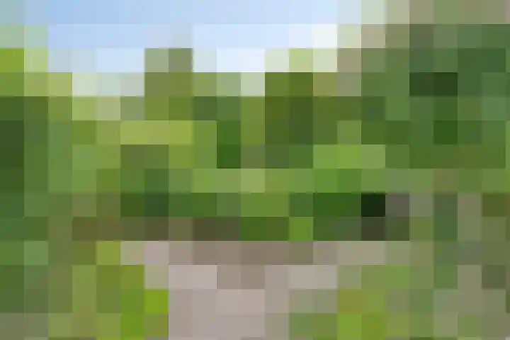Kopermolenring 25 Lochem thumbnail 35