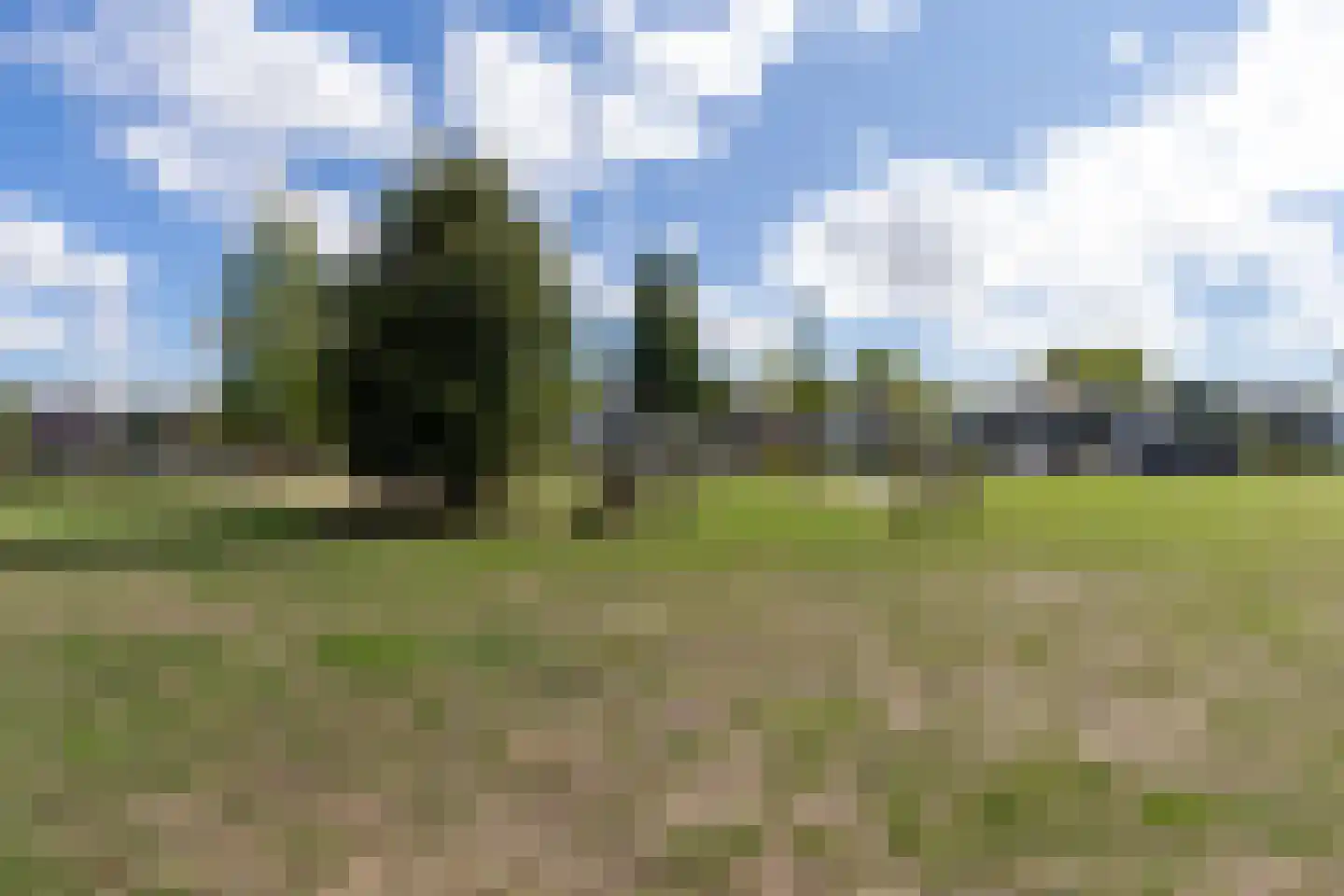 Koperslager 11 Nederweert thumbnail 39