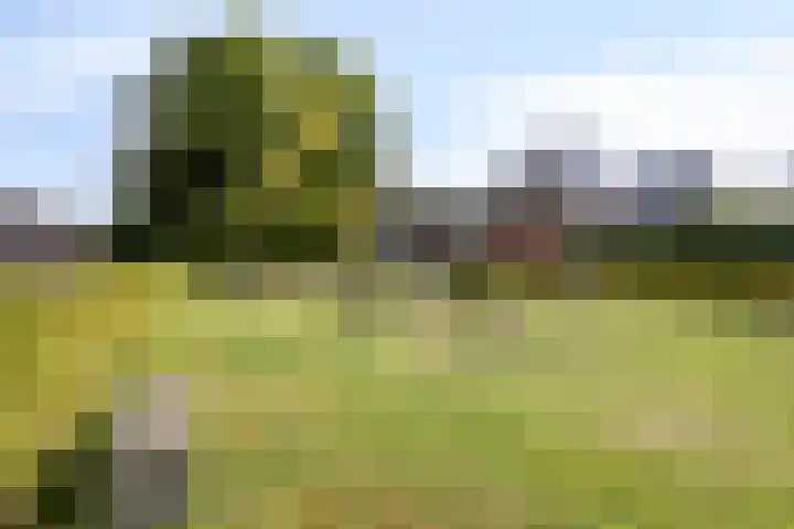 Koperslager 17 Oldenzaal thumbnail 33