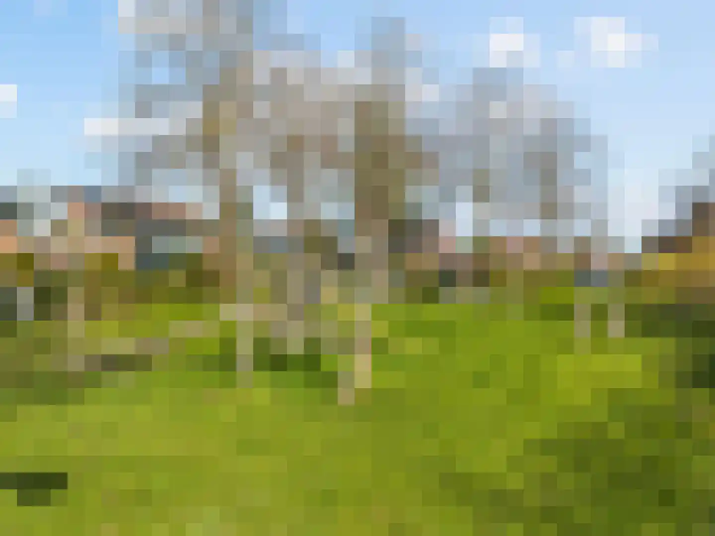Koperslager 18 Hoorn thumbnail 46