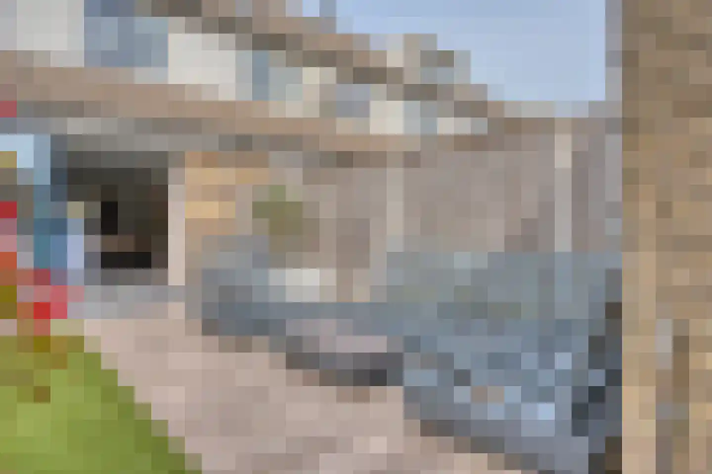 Koperslager 26 Zwijndrecht thumbnail 38
