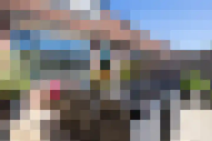 Koperslager 34 Hellevoetsluis thumbnail 22
