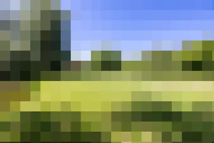 Koperslager 34 Hellevoetsluis thumbnail 29