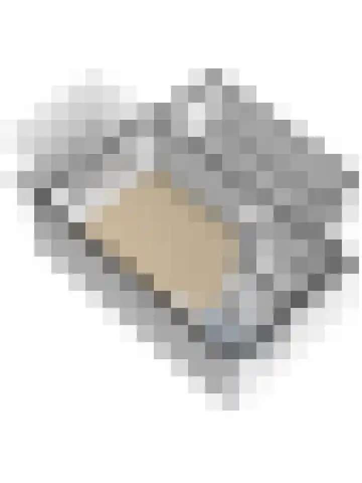Koperslager 38 Beuningen Gld thumbnail 34