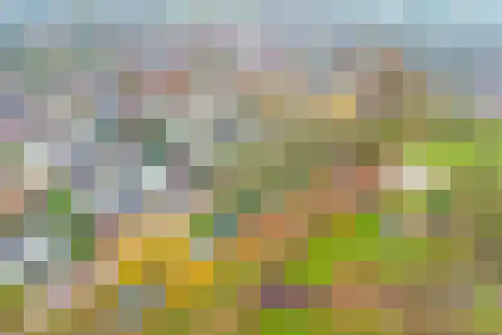 Koperslager 38 Beuningen Gld thumbnail 4