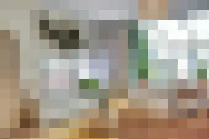 Koperslager 38 Beuningen Gld thumbnail 8