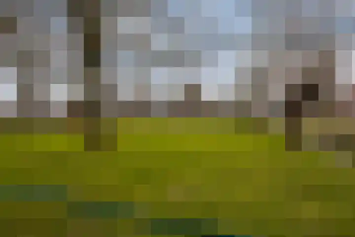 Koperslager 54 Hoorn thumbnail 38