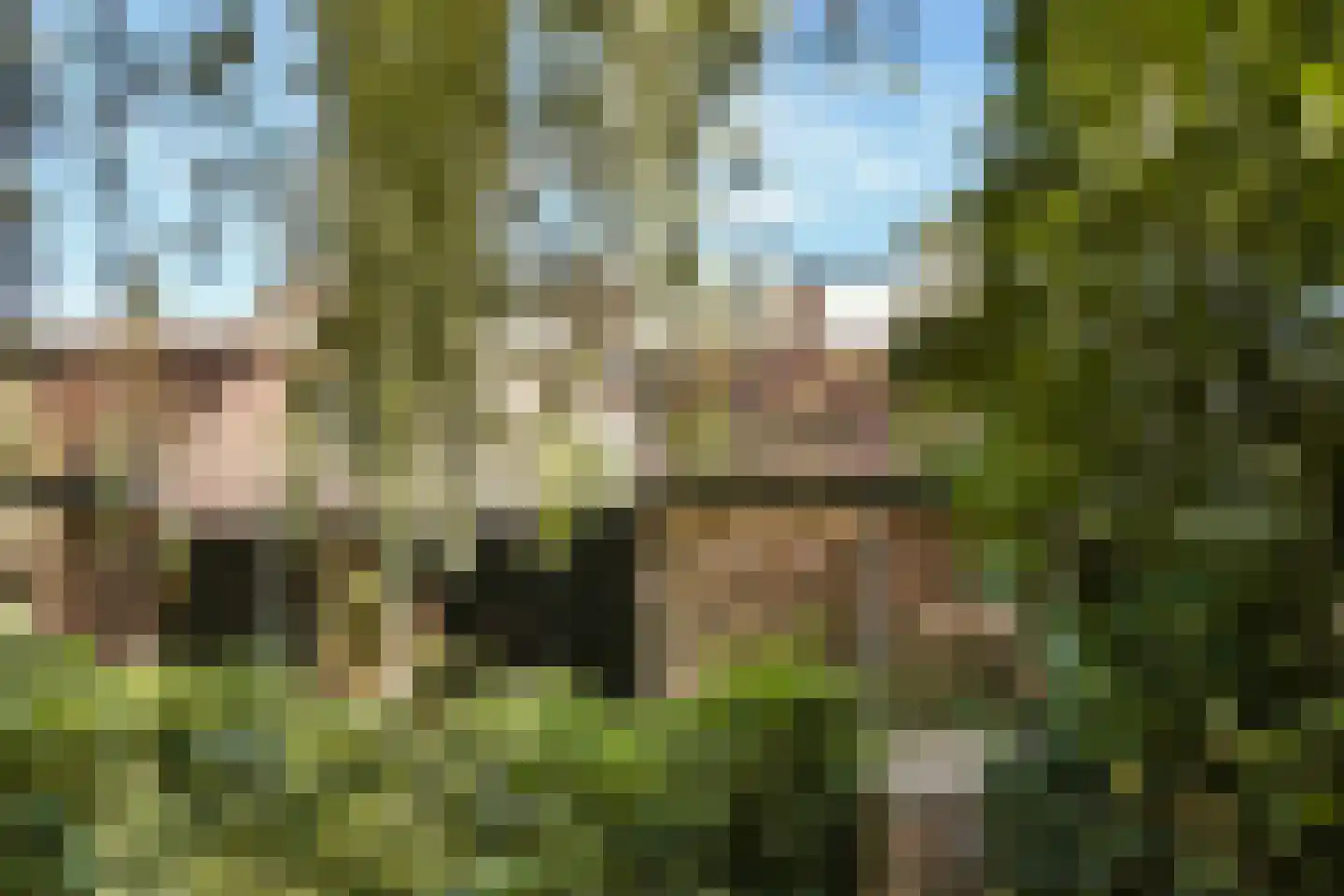 Koperslager 72 Hellevoetsluis thumbnail 30