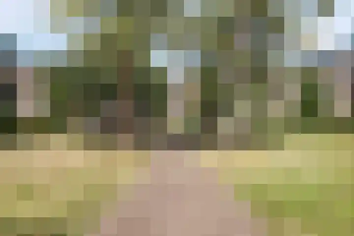 Koperslagerhof 35 Almere thumbnail 29