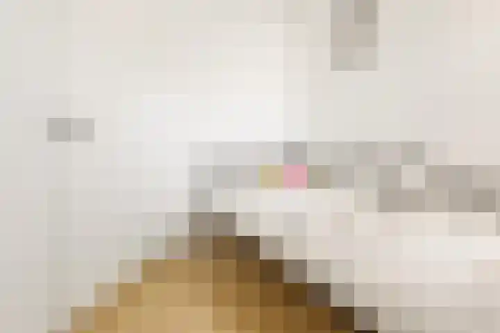 Koperslagerhof 7 Almere thumbnail 24