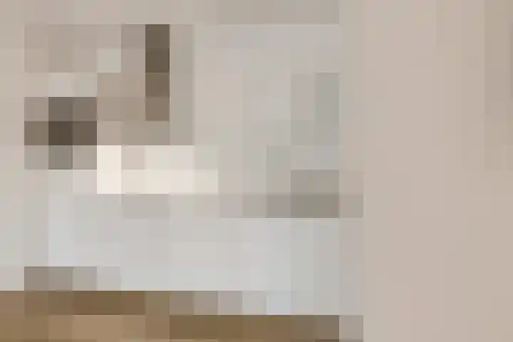 Koperslagerij 11 Tiel thumbnail 10