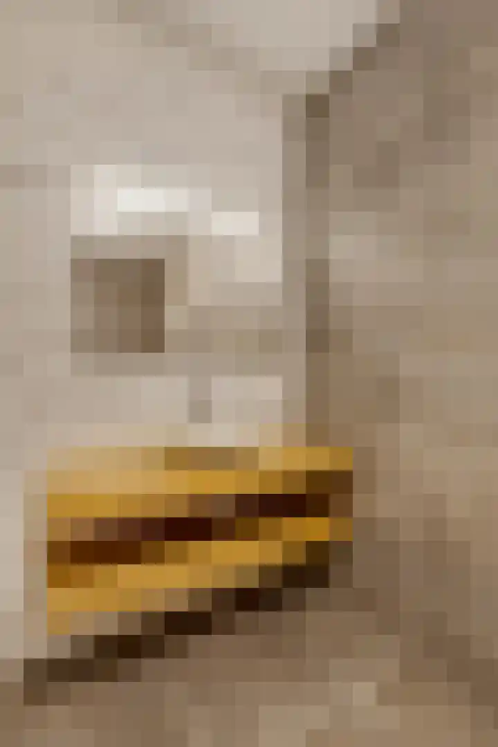 Koperslagerij 11 Tiel thumbnail 19