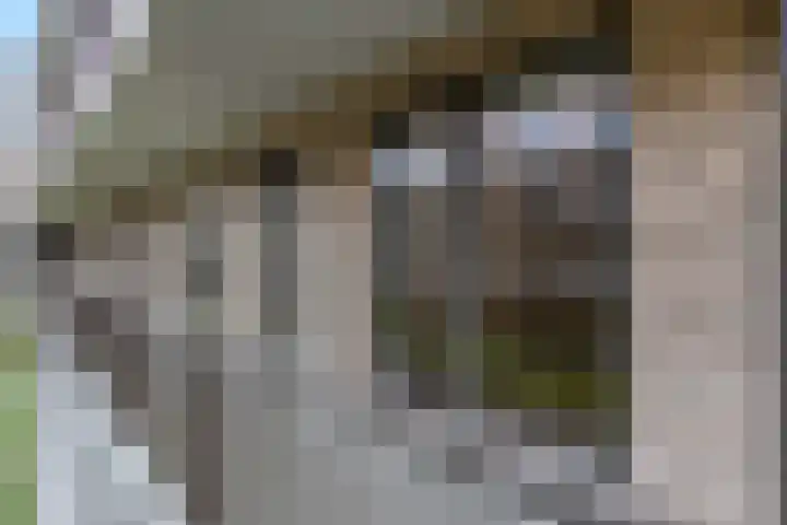 Koperslagerij 11 Tiel thumbnail 33