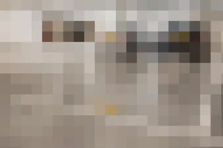 Koperslagerij 11 Tiel thumbnail 38