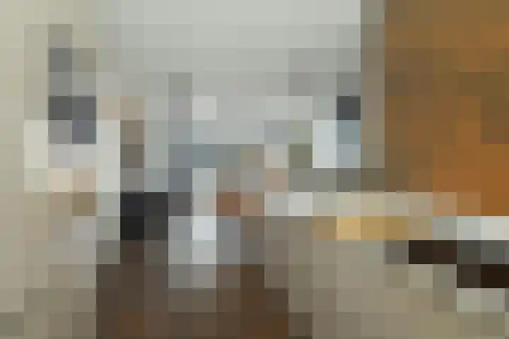 Koperslagerij 14 Barendrecht thumbnail 11