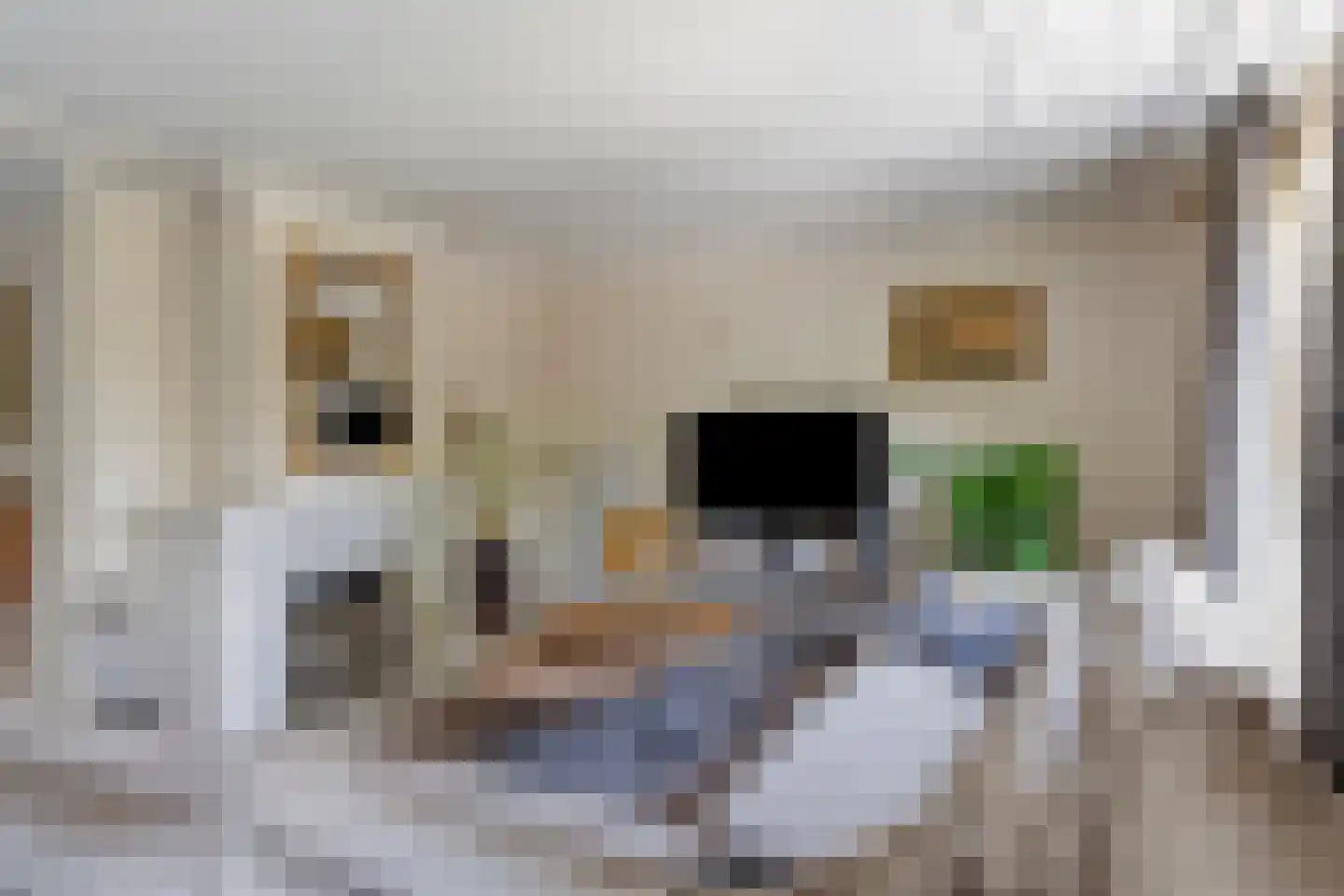 Koperslagerij 34 Zevenbergen thumbnail 11