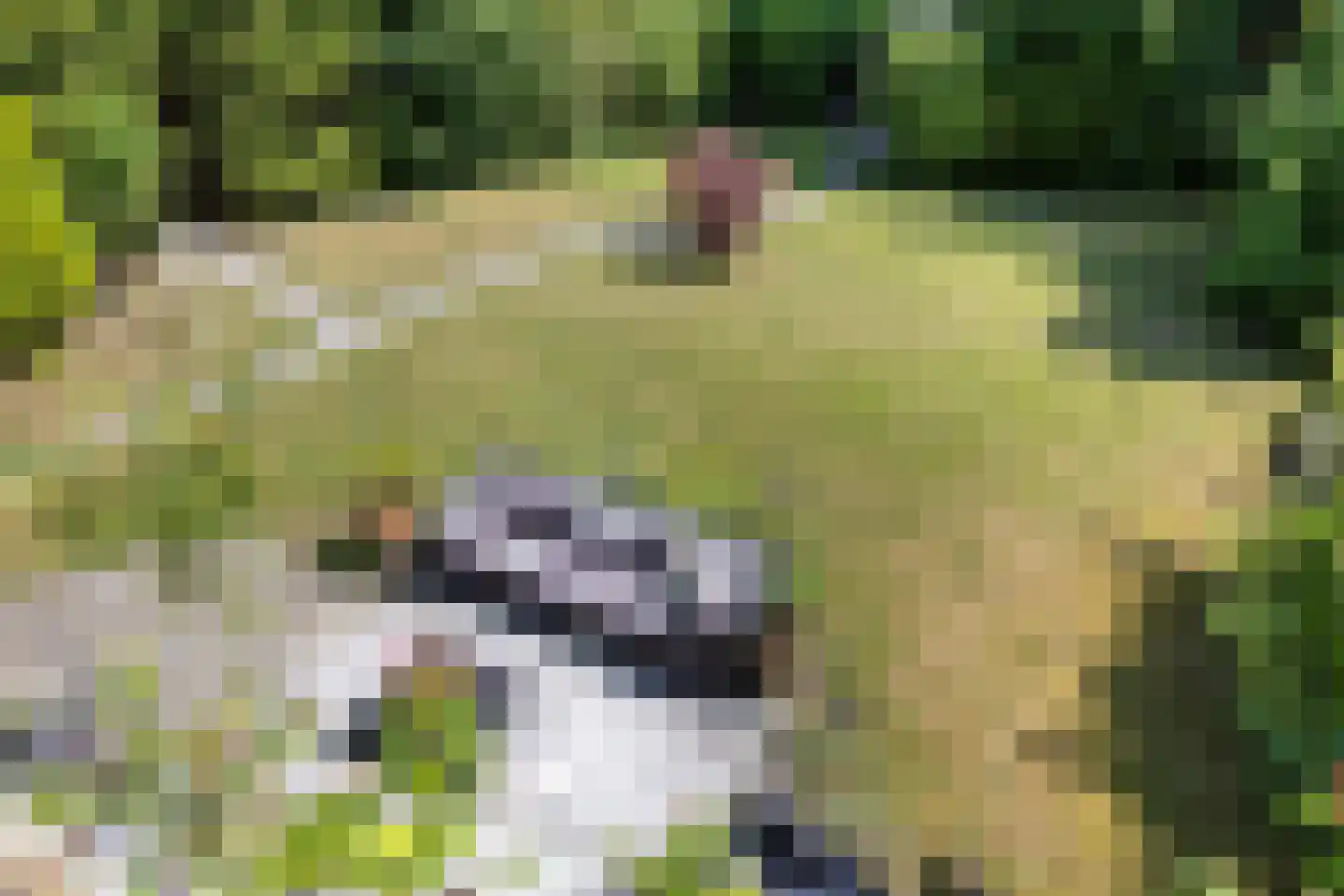 Koperslagerij 34 Zevenbergen thumbnail 30