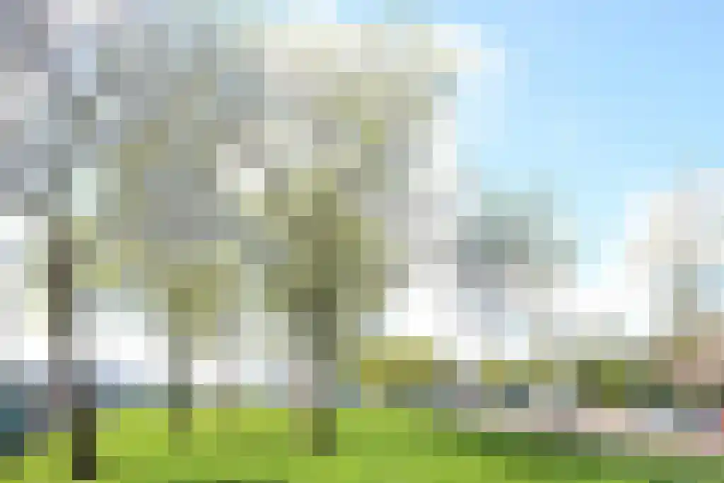 Koperslagerij 47 Amsterdam thumbnail 16