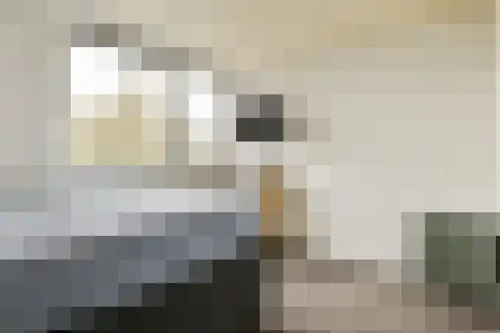 Koperslagerij 8 Amsterdam thumbnail 10