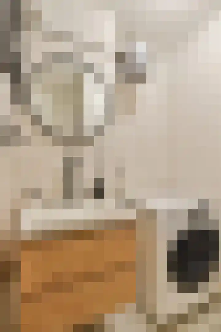 Koperslagerij 8 Amsterdam thumbnail 13