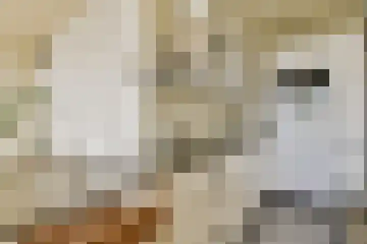 Koperslagerij 8 Amsterdam thumbnail 5