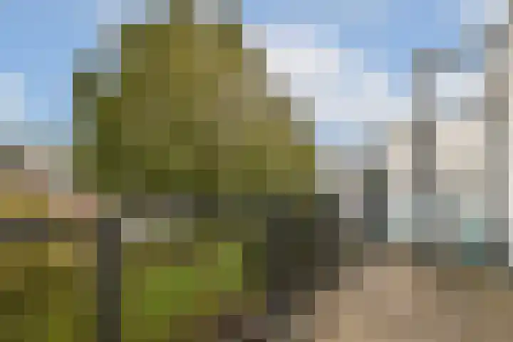 Koperslagerij 8 Amsterdam thumbnail 9