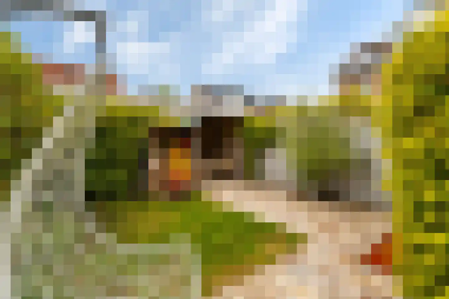 Koperslagerlaan 42 IJsselstein thumbnail 18