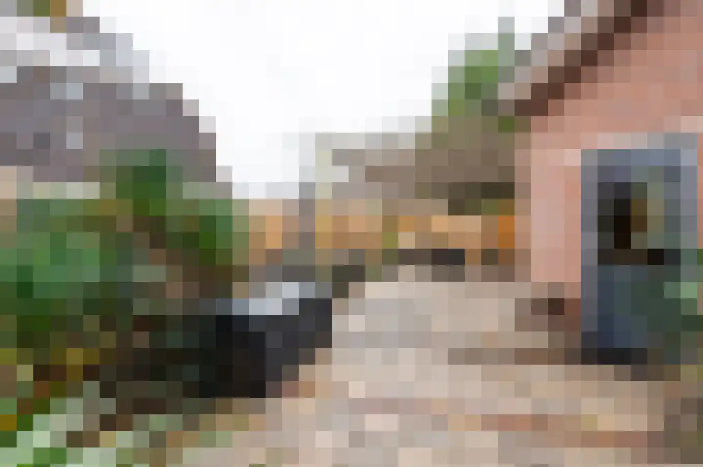 Koperslagersdonk 207 Apeldoorn thumbnail 20