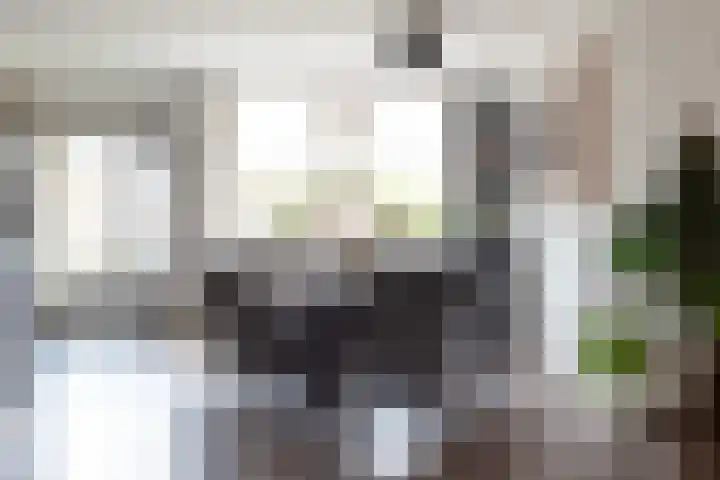 Koperslagersdonk 223 Apeldoorn thumbnail 11