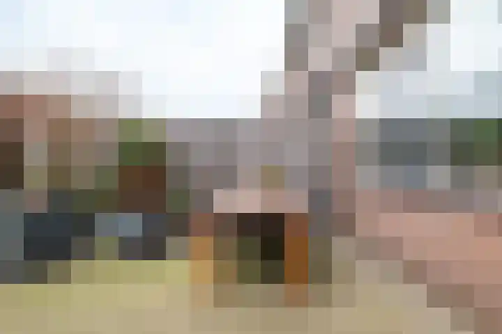 Koperslagersdonk 223 Apeldoorn thumbnail 17