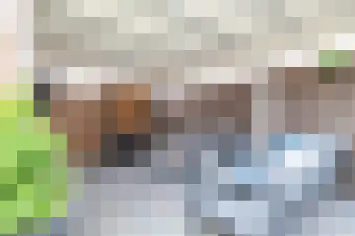 Koperslagersdonk 223 Apeldoorn thumbnail 19