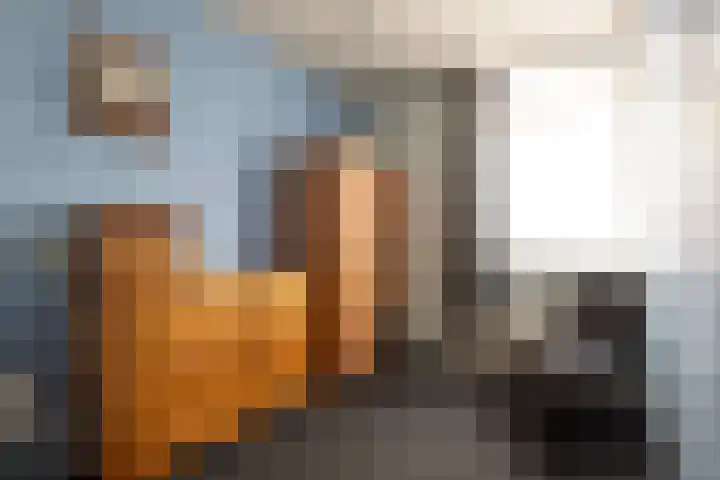 Koperslagersdonk 223 Apeldoorn thumbnail 25