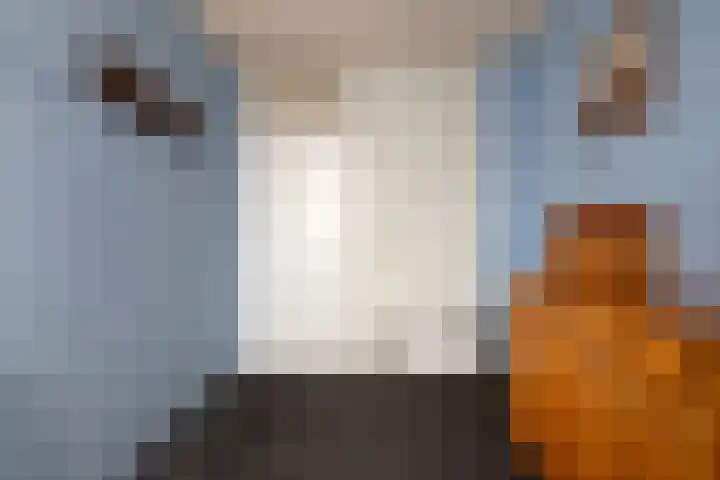 Koperslagersdonk 223 Apeldoorn thumbnail 26
