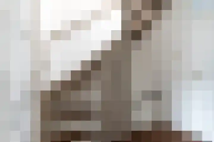 Koperslagersdonk 223 Apeldoorn thumbnail 32