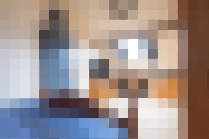 Koperslagersdonk 223 Apeldoorn thumbnail 36