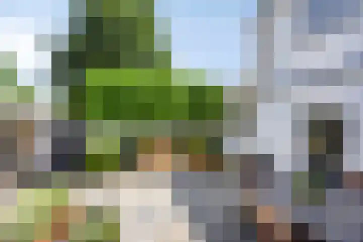 Koperslagersdreef 2 Maastricht thumbnail 21