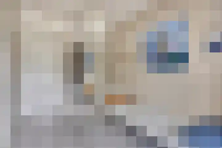 Koperslagersdreef 25 C Maastricht thumbnail 17