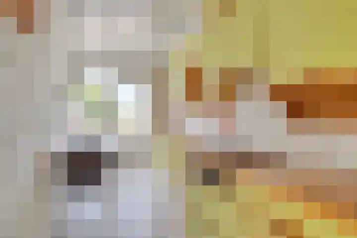 Koperslagersdreef 25 C Maastricht thumbnail 7