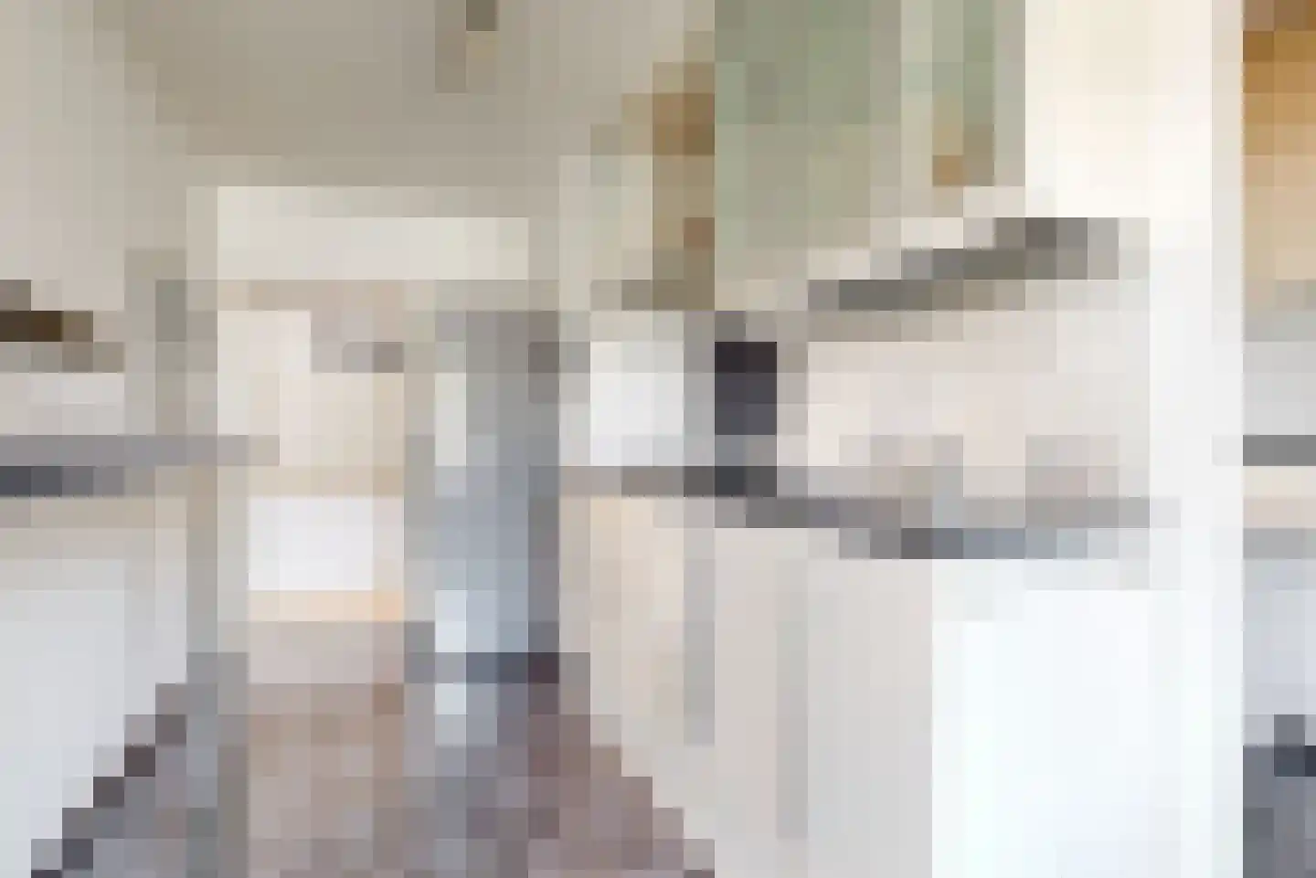 Koperslagersdreef 31 A Maastricht thumbnail 11