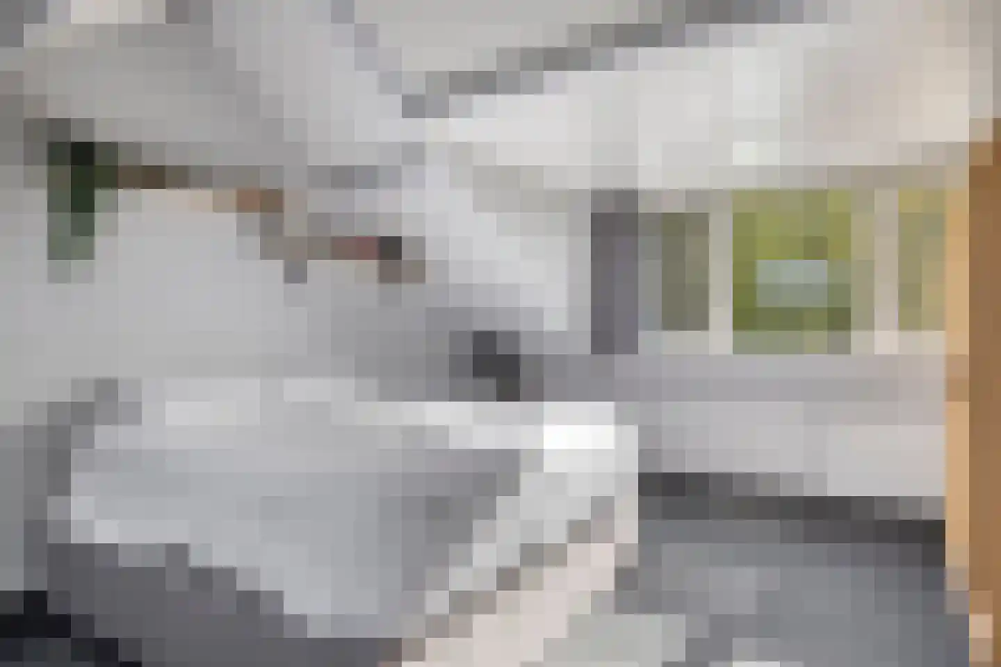 Koperslagerstraat 16 Breda thumbnail 33