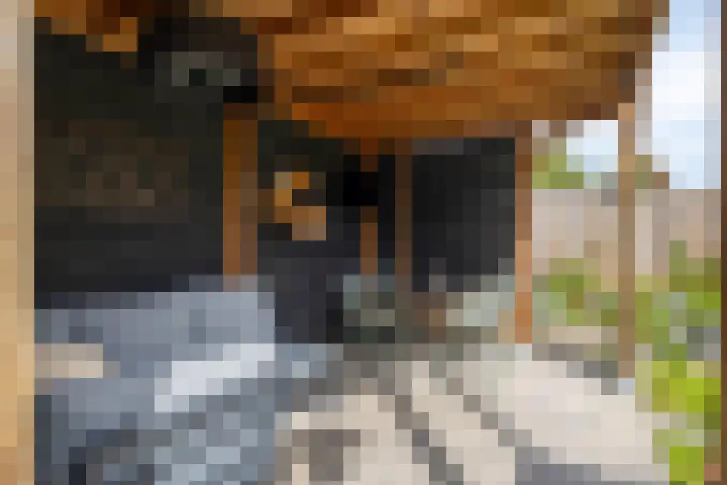 Koperslagerstraat 16 Breda thumbnail 38