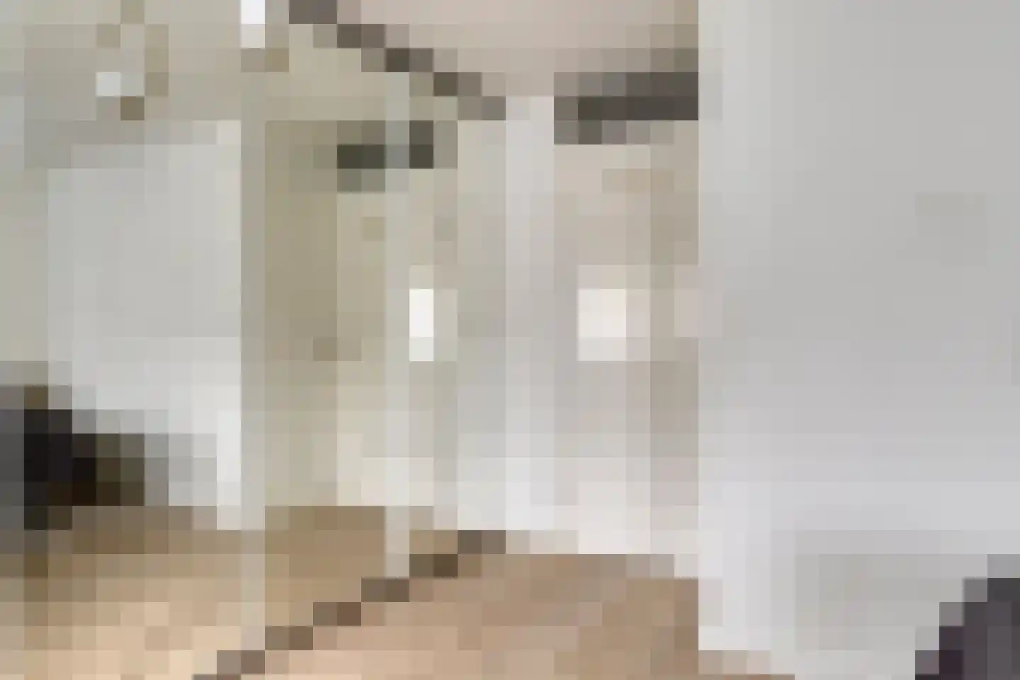 Koperslagerstraat 17 Delfgauw thumbnail 15