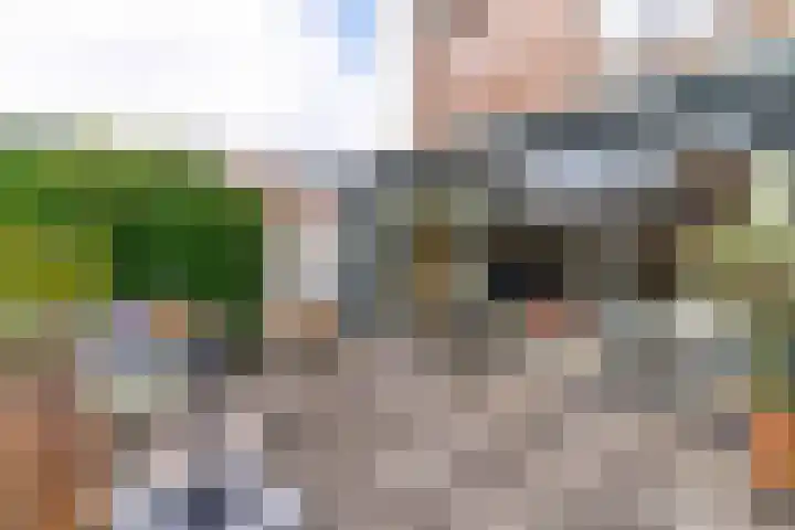 Koperslagerstraat 19 Delfgauw thumbnail 25