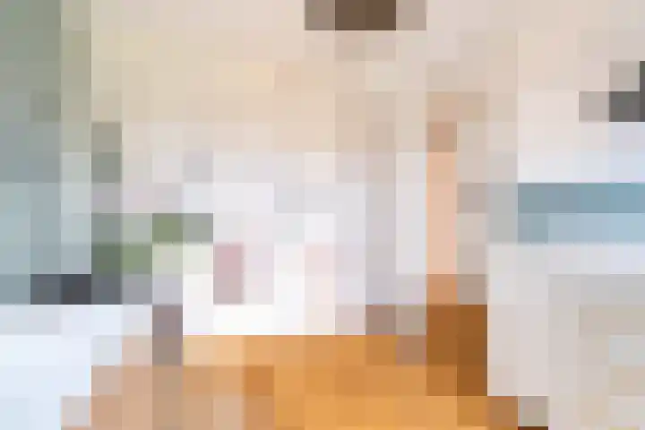 Koperslagerstraat 19 Delfgauw thumbnail 30