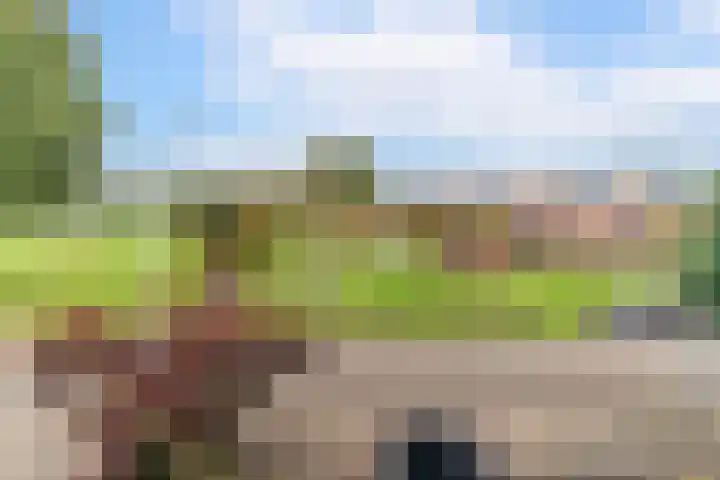 Koperslagerstraat 19 Delfgauw thumbnail 31