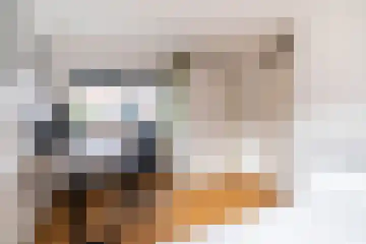 Koperslagerstraat 19 Delfgauw thumbnail 37