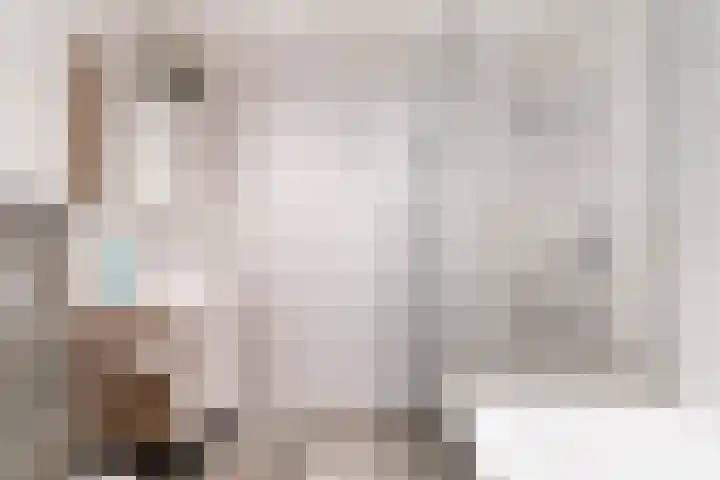 Koperslagerstraat 19 Delfgauw thumbnail 39