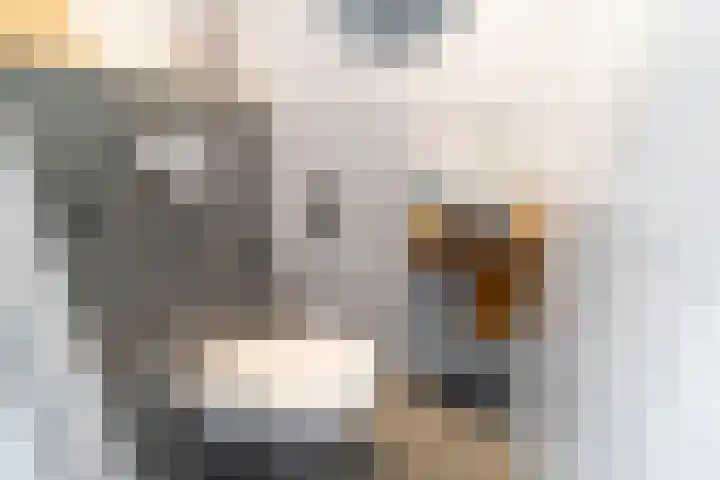 Koperslagerstraat 19 Delfgauw thumbnail 5