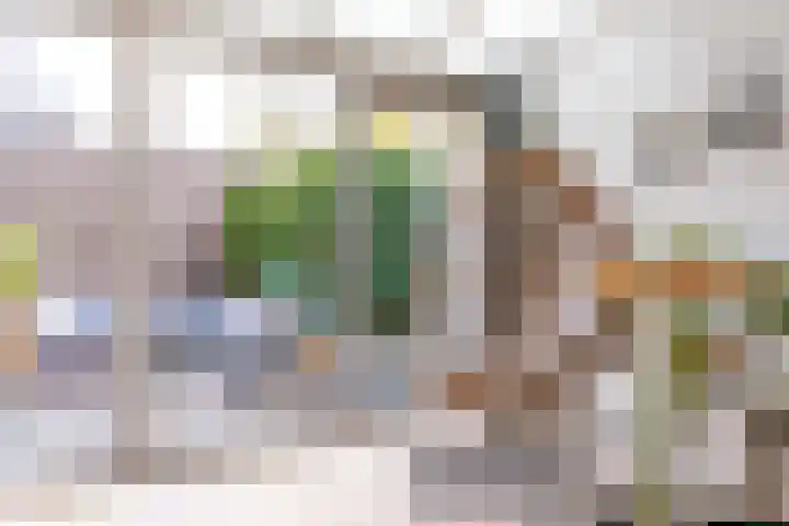 Koperslagerstraat 19 Delfgauw thumbnail 8